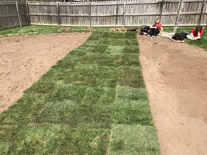 New sod installation